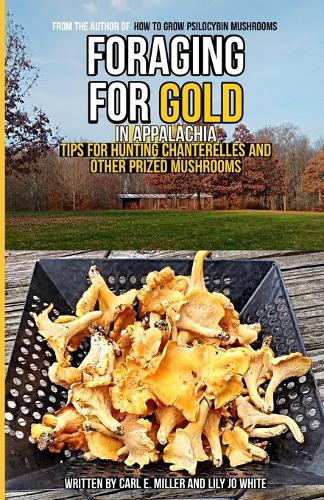 Foraging for Gold in Appalachia
