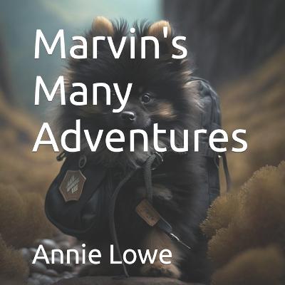 Marvin's Many Adventures