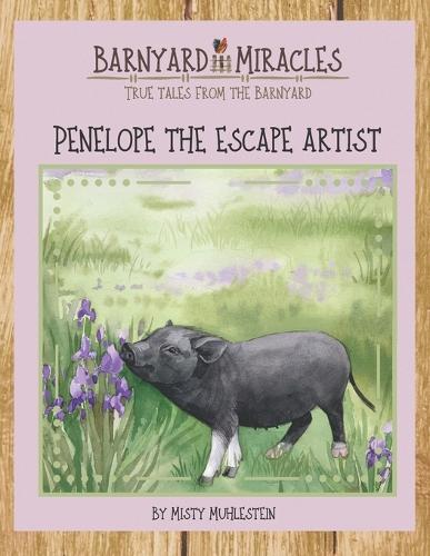 Barnyard Miracles