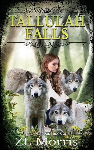 Tallulah Falls