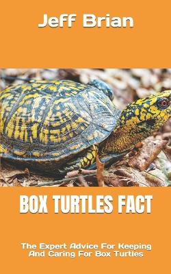 Box Turtles Fact