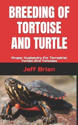 Breeding of Tortoise and Turtle