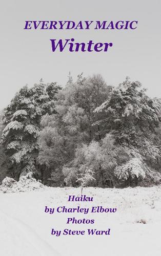 Everyday Magic: Winter