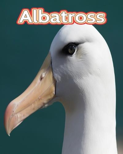 Albatross