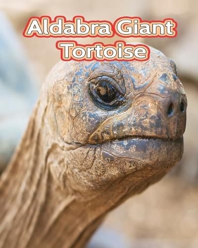 Aldabra Giant Tortoise