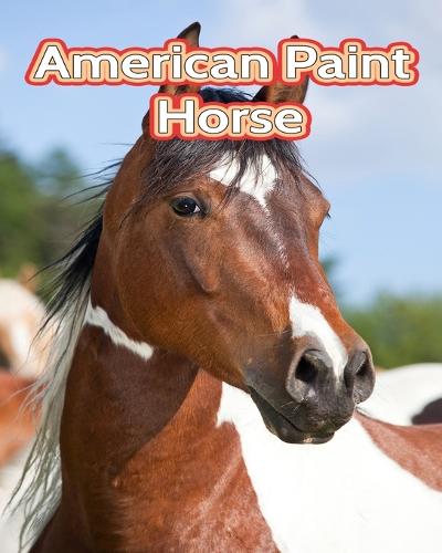 American Paint Horse
