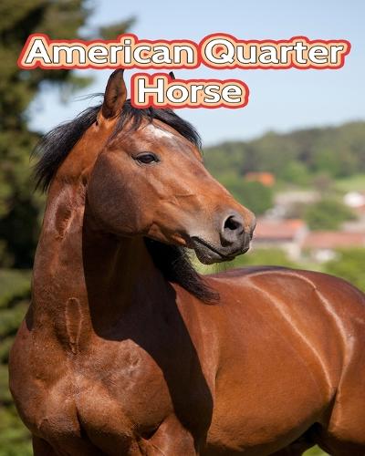 American Quarter Horse