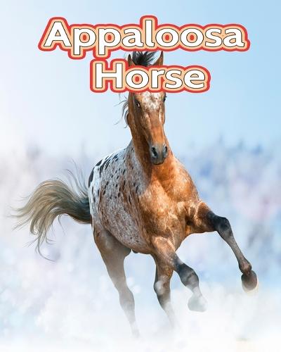 Appaloosa Horse