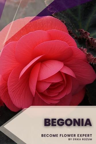 Begonia