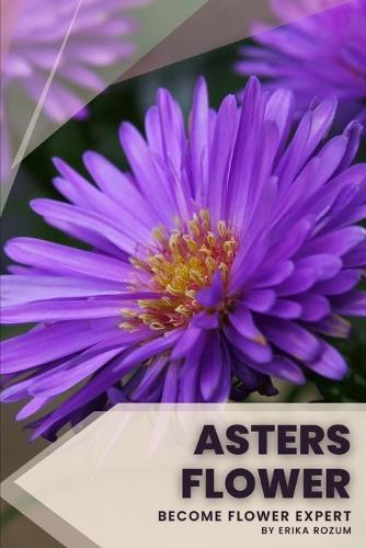 asters flower