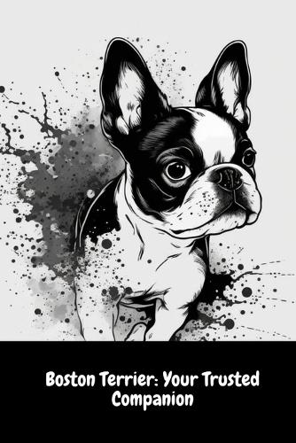 Boston Terrier