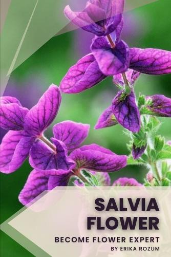 Salvia Flower