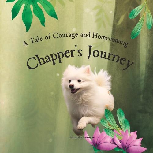 Chapper's Journey