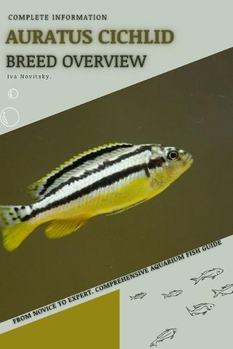 Auratus Cichlid
