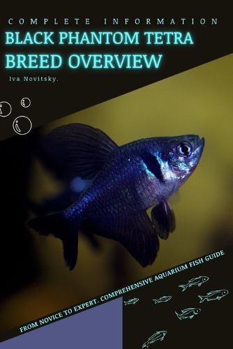 Black Phantom Tetra