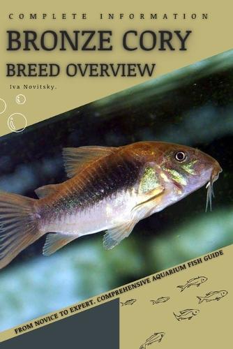 Bronze Cory