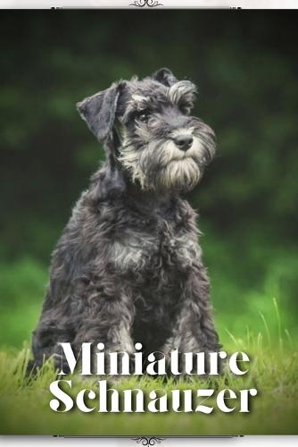 Miniature Schnauzer