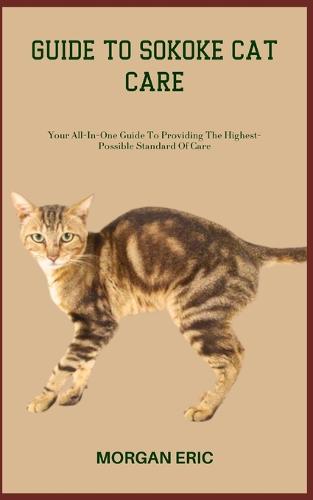 Guide to Sokoke Cat Care