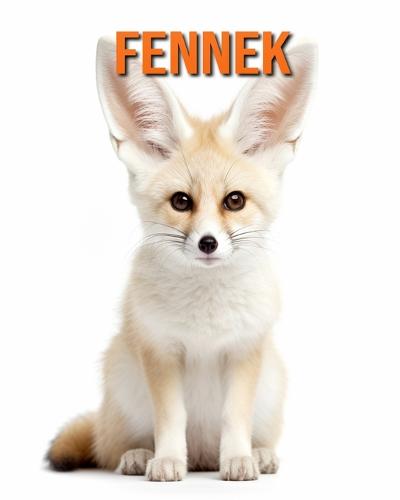 Fennek