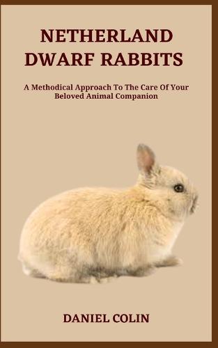 Netherland Dwarf Rabbits