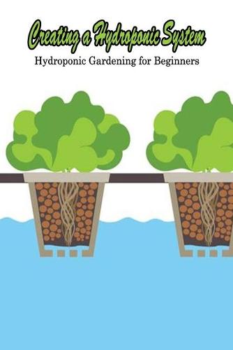 Creating a Hydroponic System
