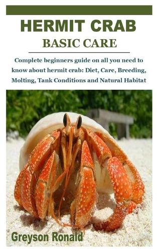 Hermit Crab Basic Care