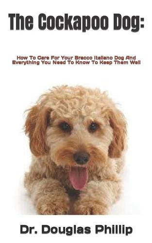 The Cockapoo Dog