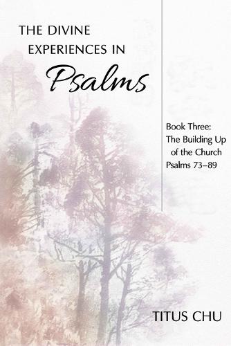 The Divine Experiences in Psalms, Book Three