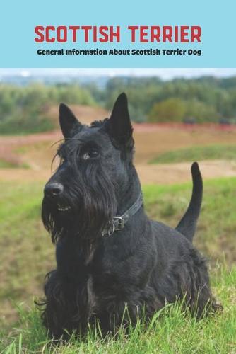 Scottish Terrier