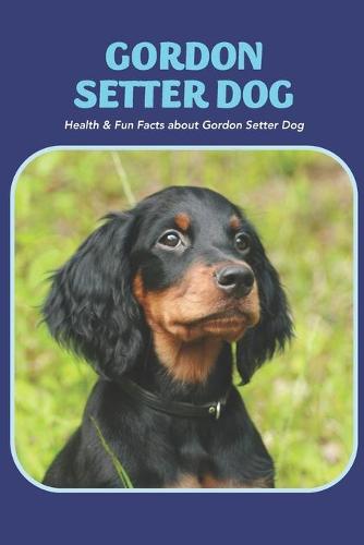 Gordon Setter Dog