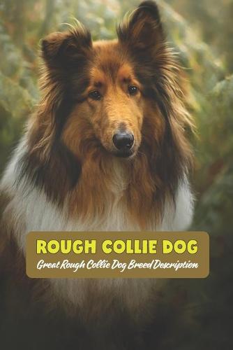 Rough Collie Dog