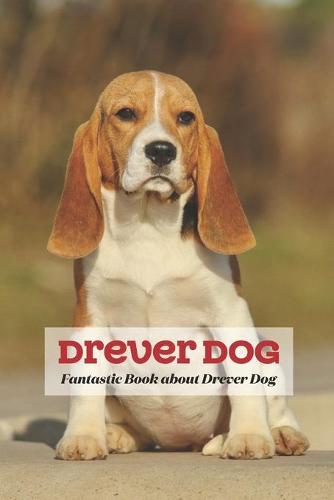 Drever Dog