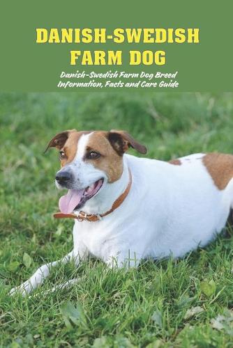 Danish-Swedish Farm Dog