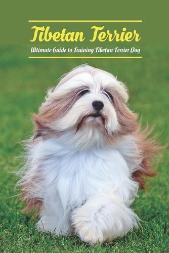 Tibetan Terrier