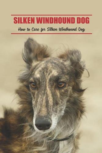 Silken Windhound Dog