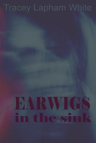 Earwigs in the Sink