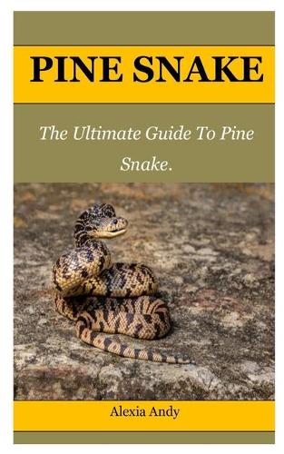 Pine Snake