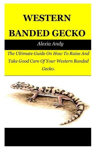 Western Banded Gecko