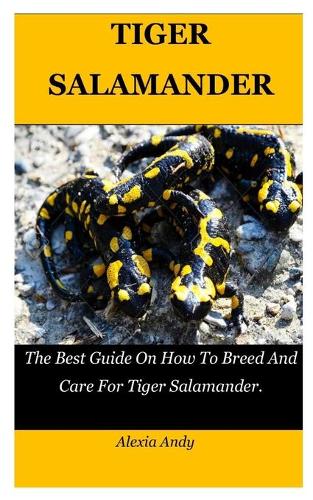 Tiger Salamander