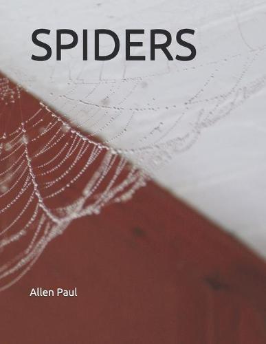 Spiders