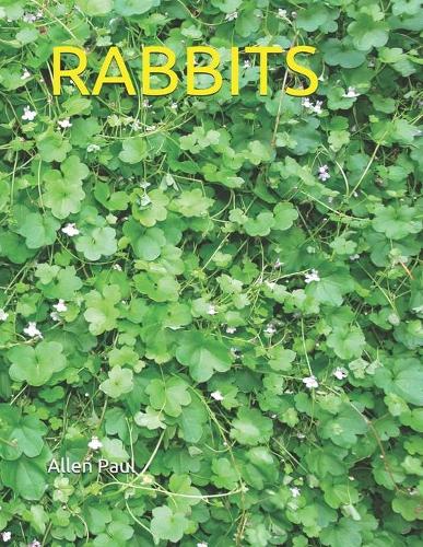 Rabbits