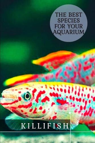 Killifish
