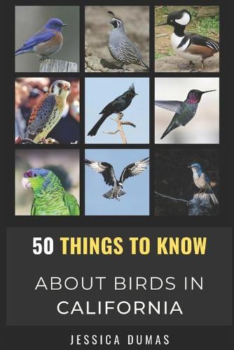 50 Things to Know About Birds in California