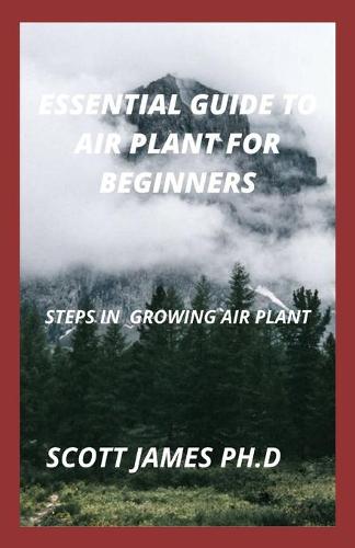 Essential Guide To Air Plant For Beginners