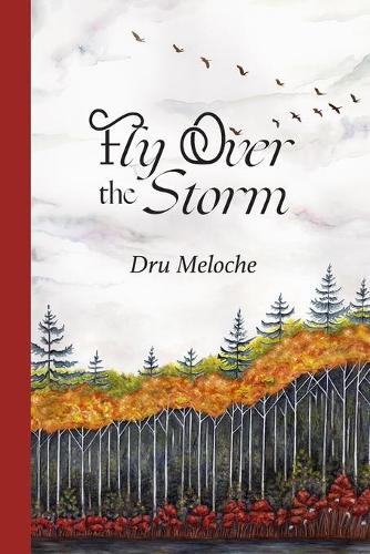 Fly Over the Storm