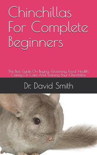 Chinchillas For Complete Beginners