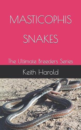 Masticophis Snakes