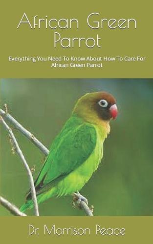 African Green Parrot