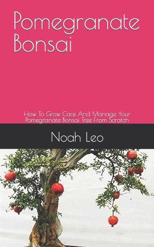 Pomegranate Bonsai