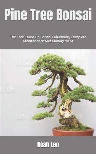 Pine Tree Bonsai